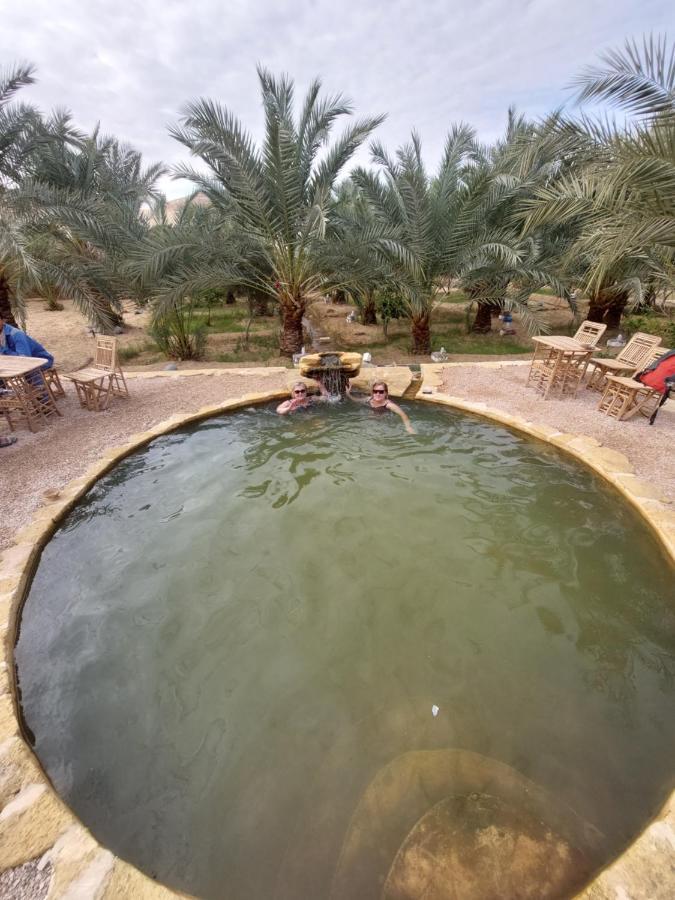 Forest Camp Siwa - كامب الغابة Siwa Oasis Exterior foto