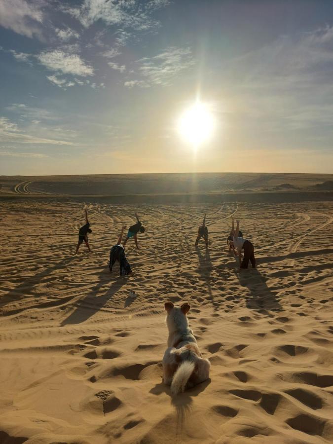 Forest Camp Siwa - كامب الغابة Siwa Oasis Exterior foto