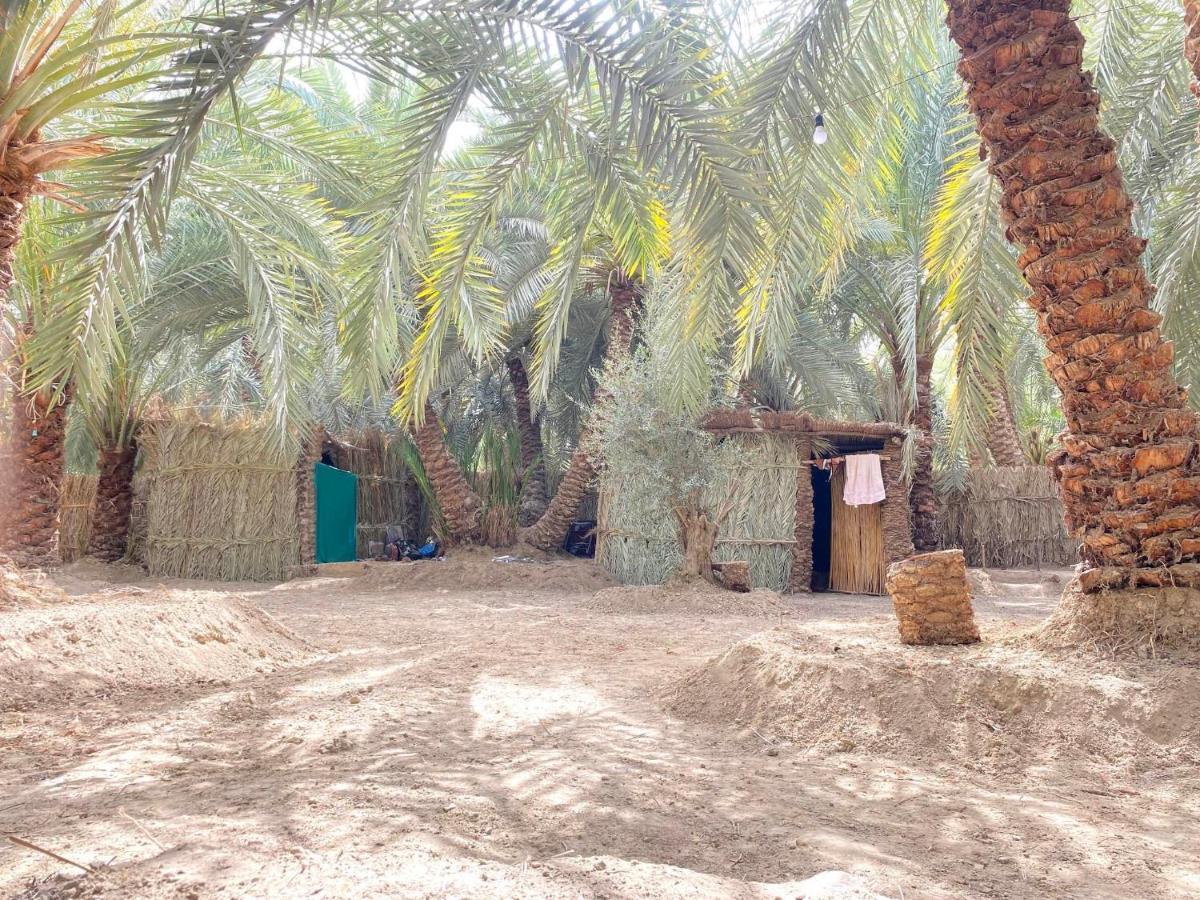 Forest Camp Siwa - كامب الغابة Siwa Oasis Exterior foto