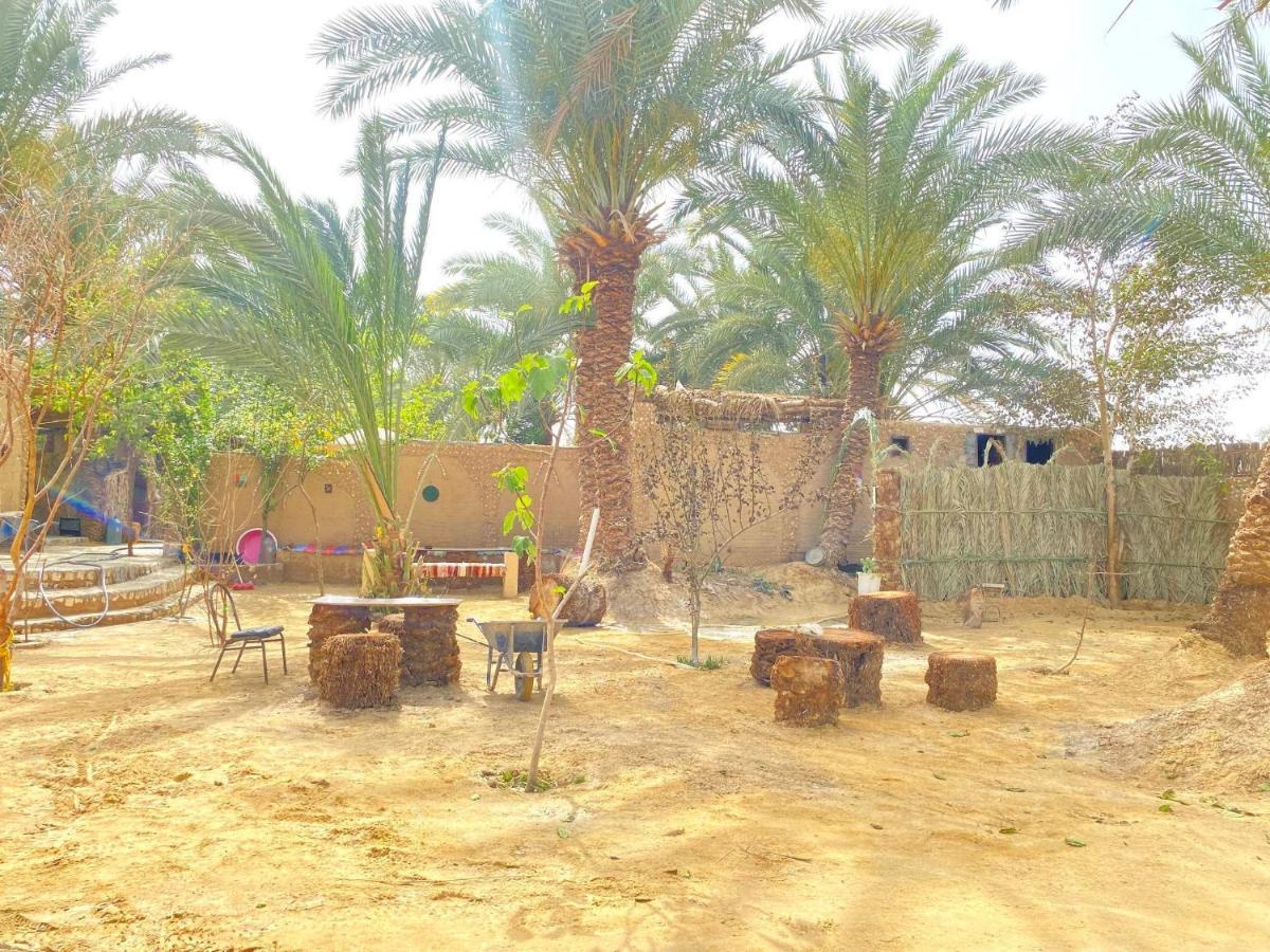 Forest Camp Siwa - كامب الغابة Siwa Oasis Exterior foto