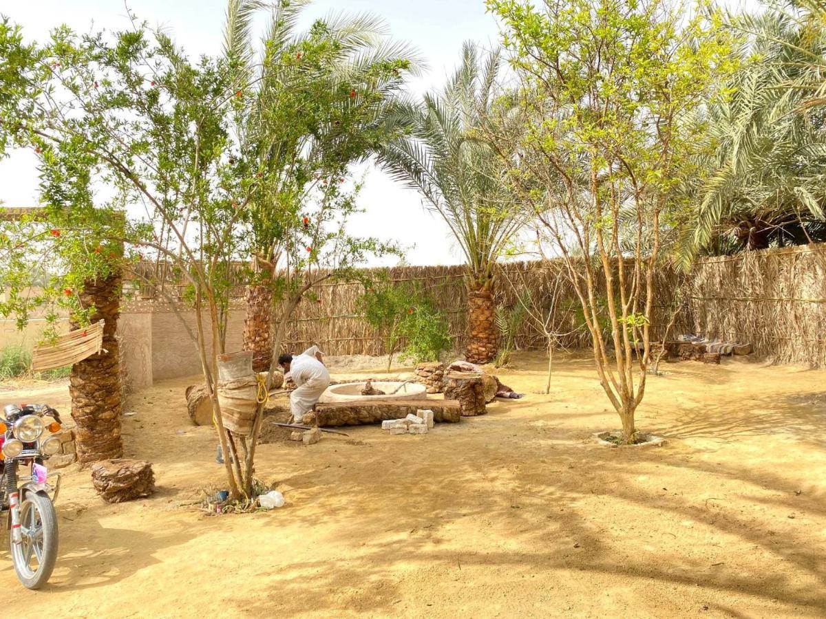 Forest Camp Siwa - كامب الغابة Siwa Oasis Exterior foto