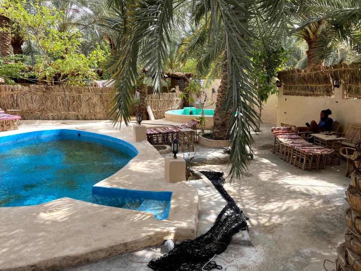 Forest Camp Siwa - كامب الغابة Siwa Oasis Exterior foto