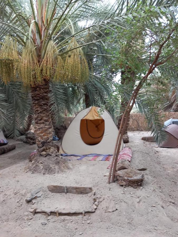 Forest Camp Siwa - كامب الغابة Siwa Oasis Exterior foto