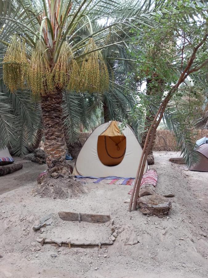 Forest Camp Siwa - كامب الغابة Siwa Oasis Exterior foto