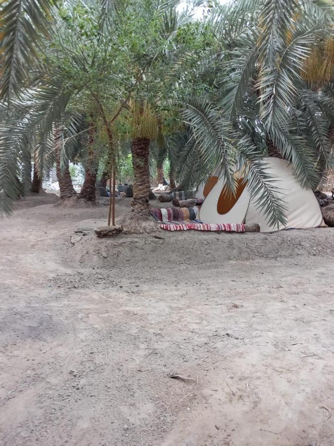 Forest Camp Siwa - كامب الغابة Siwa Oasis Exterior foto