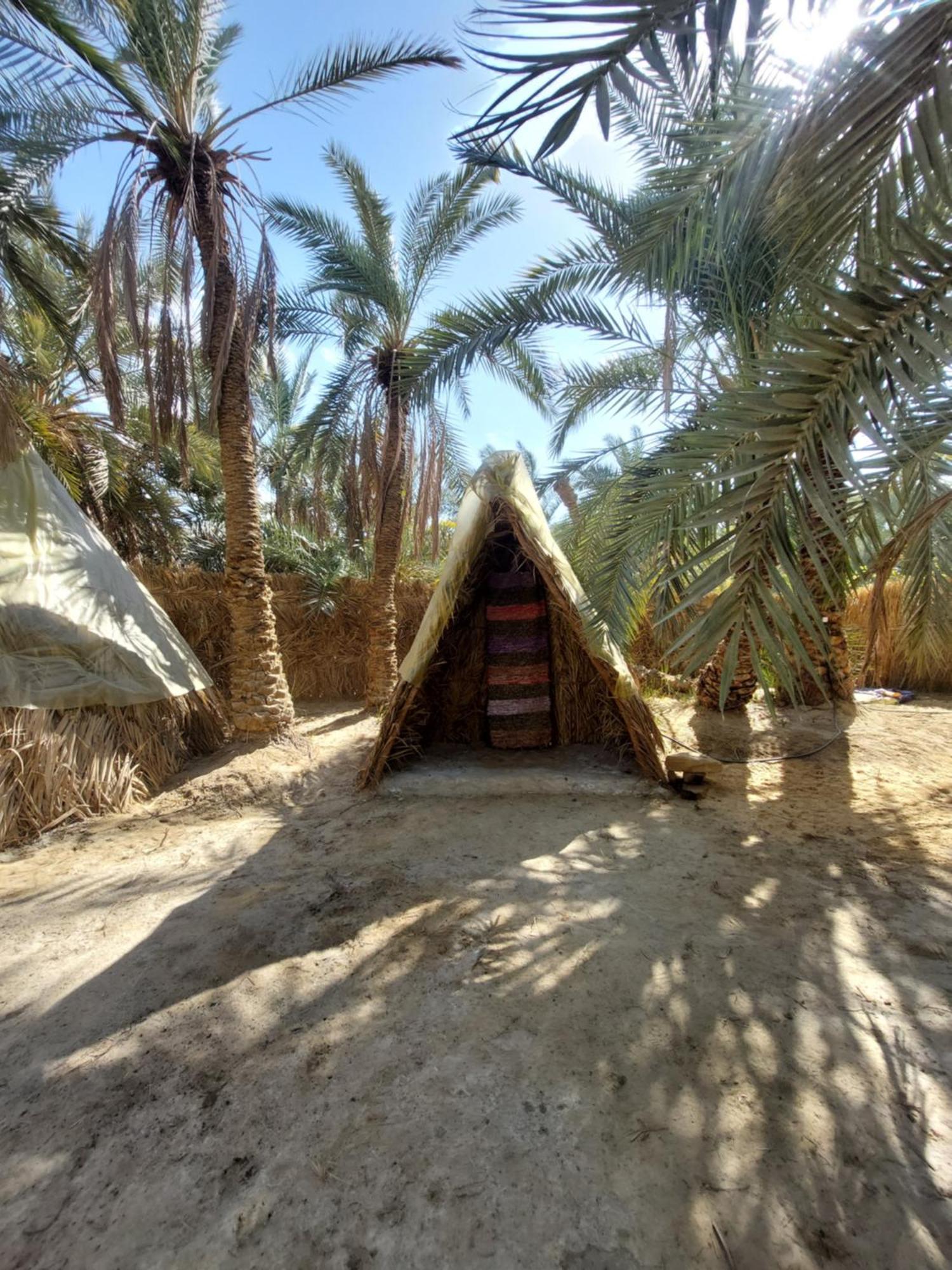 Forest Camp Siwa - كامب الغابة Siwa Oasis Exterior foto