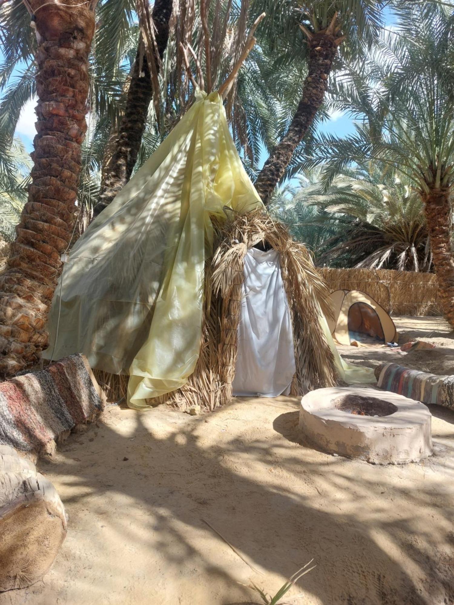 Forest Camp Siwa - كامب الغابة Siwa Oasis Exterior foto