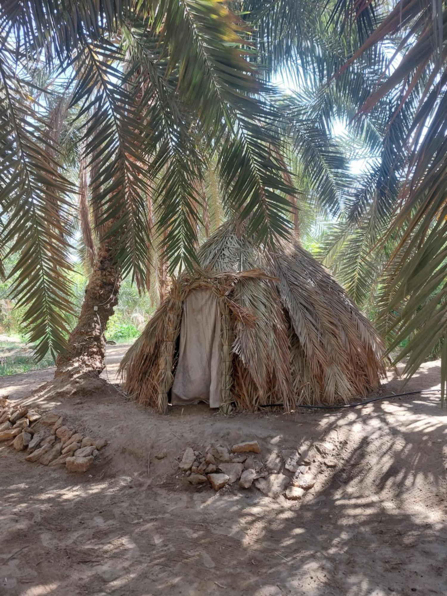 Forest Camp Siwa - كامب الغابة Siwa Oasis Exterior foto