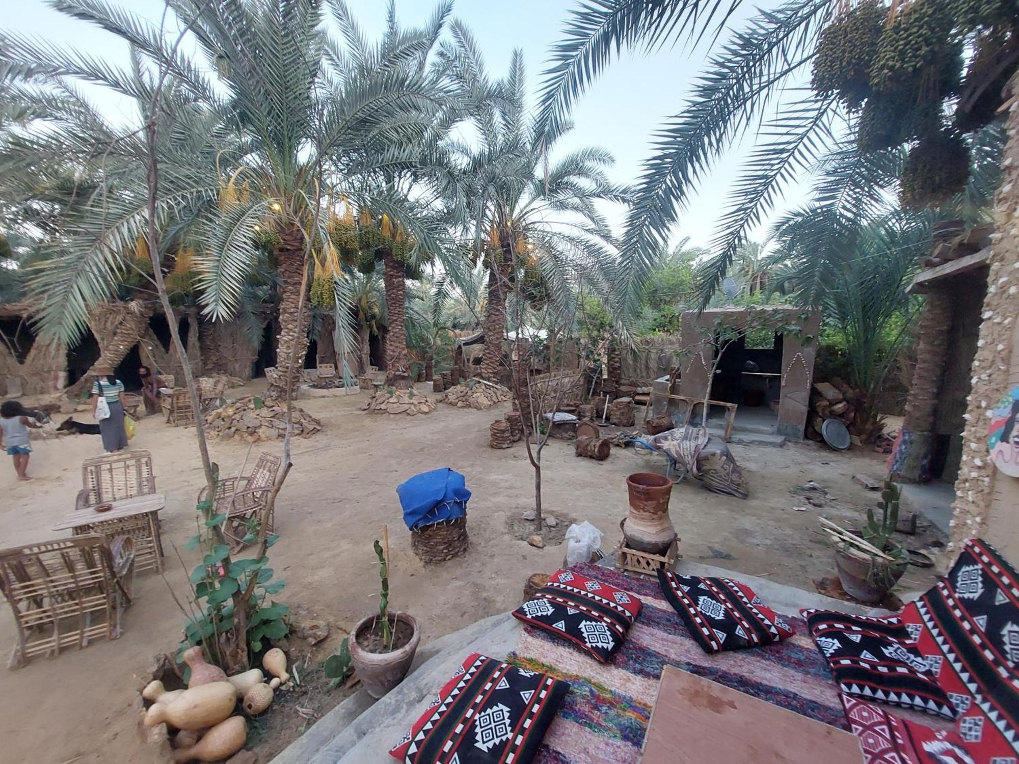 Forest Camp Siwa - كامب الغابة Siwa Oasis Exterior foto