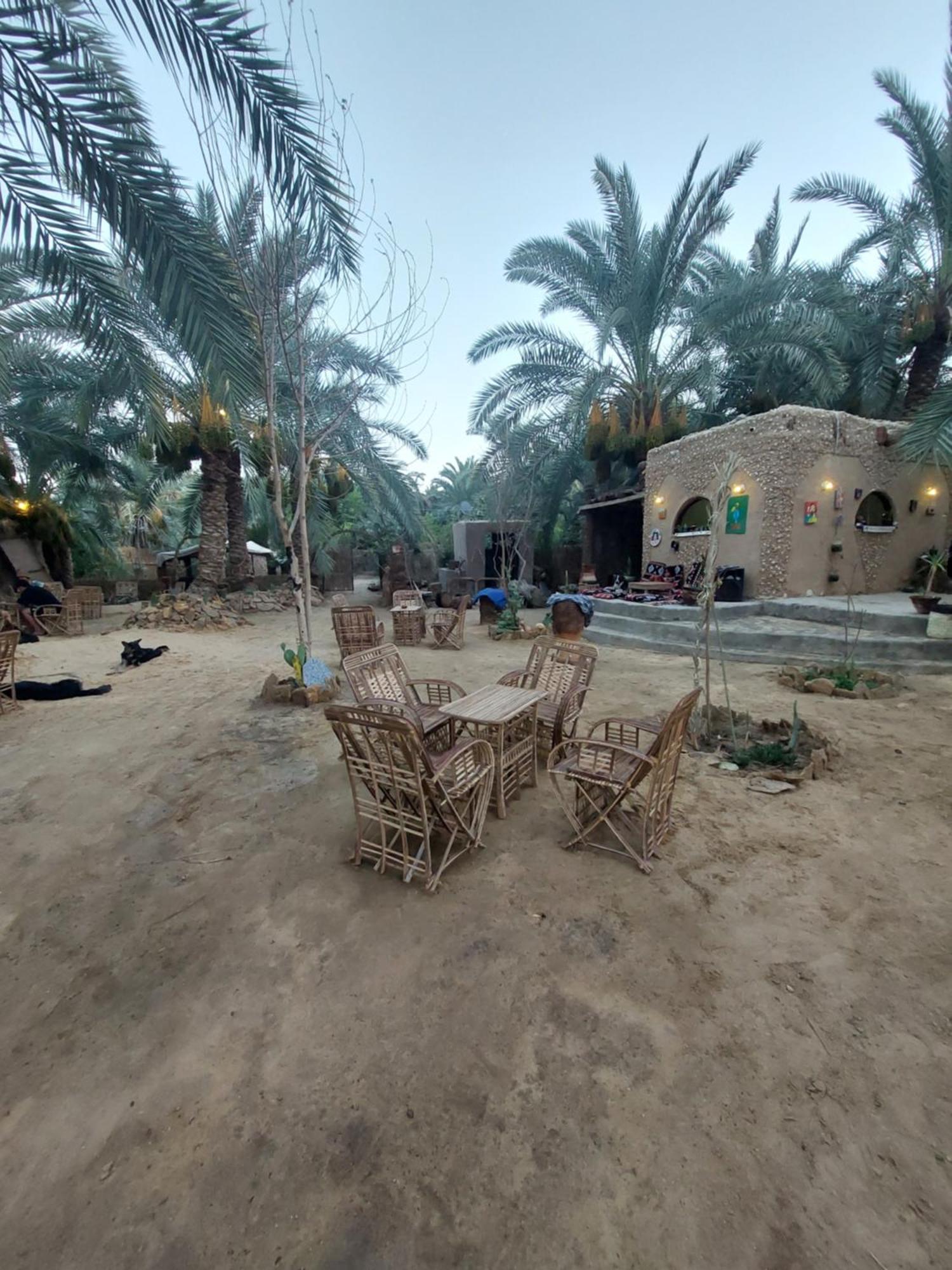 Forest Camp Siwa - كامب الغابة Siwa Oasis Exterior foto